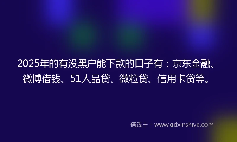 2025年的有没黑户能下款的口子有：京东金融、微博借钱、51人品贷、微粒贷、信用卡贷等。