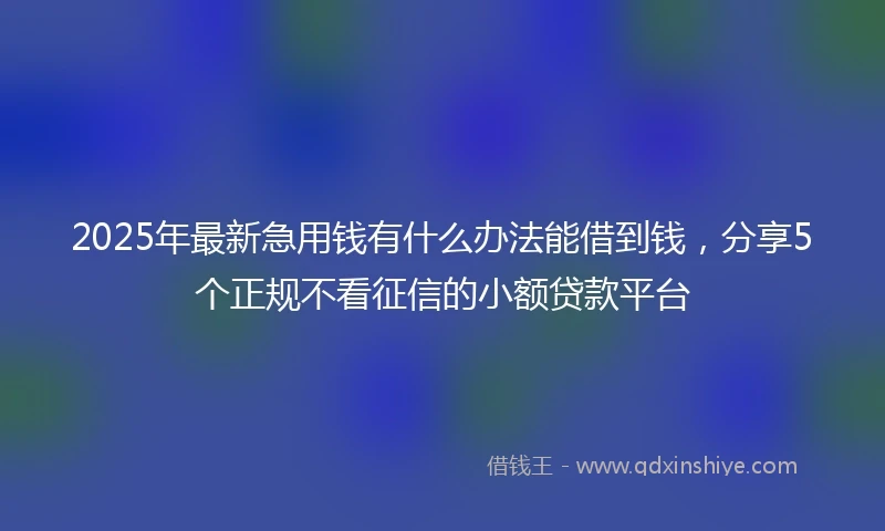 2025年最新急用钱有什么办法能借到钱，分享5个正规不看征信的小额贷款平台