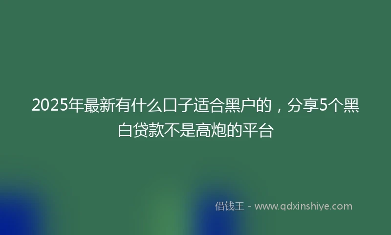 2025年最新有什么口子适合黑户的，分享5个黑白贷款不是高炮的平台