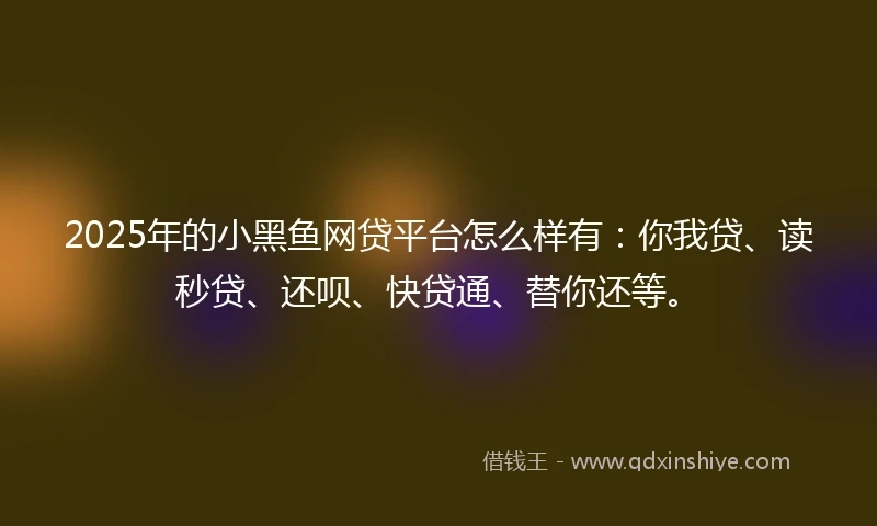 2025年的小黑鱼网贷平台怎么样有:你我贷、读秒贷、还呗、快贷通、替你还等。