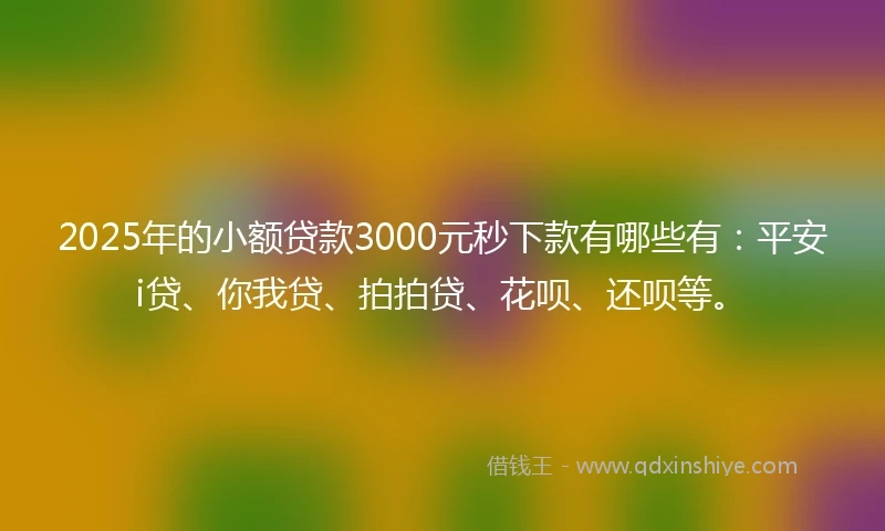 2025年的小额贷款3000元秒下款有哪些有：平安i贷、你我贷、拍拍贷、花呗、还呗等。