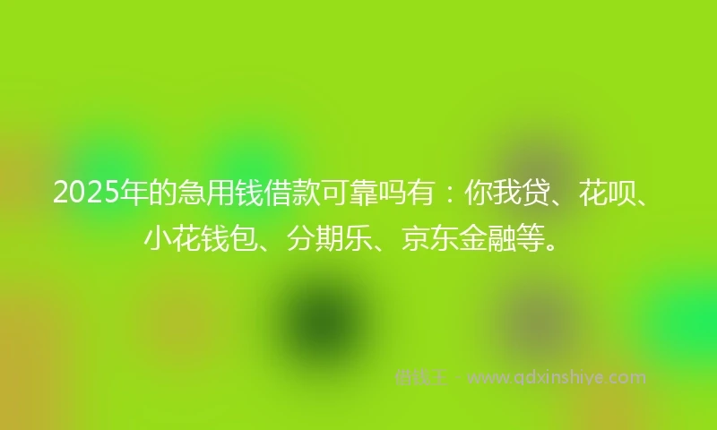 2025年的急用钱借款可靠吗有：你我贷、花呗、小花钱包、分期乐、京东金融等。