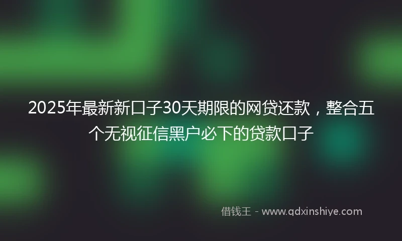 2025年最新新口子30天期限的网贷还款，整合五个无视征信黑户必下的贷款口子