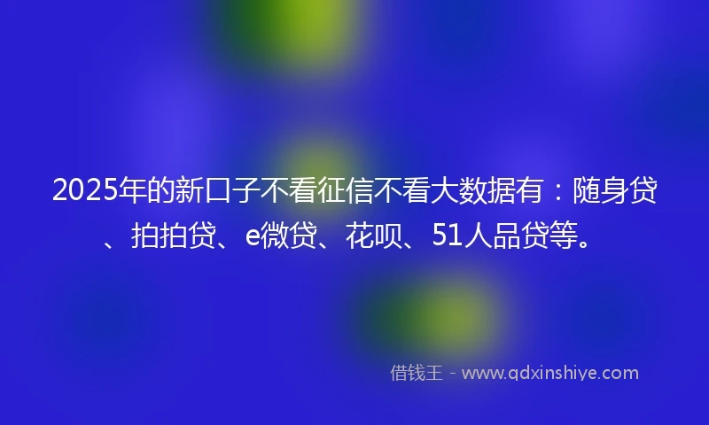 2025年的新口子不看征信不看大数据有：随身贷、拍拍贷、e微贷、花呗、51人品贷等。