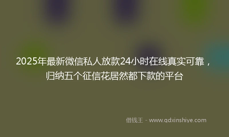2025年最新微信私人放款24小时在线真实可靠，归纳五个征信花居然都下款的平台
