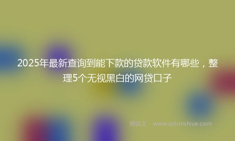 2025年最新查询到能下款的贷款软件有哪些，整理5个无视黑白的网贷口子
