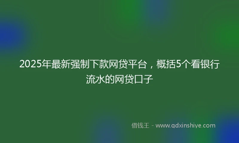 2025年最新强制下款网贷平台，概括5个看银行流水的网贷口子
