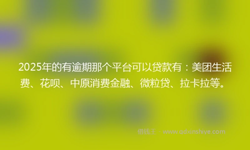 2025年的有逾期那个平台可以贷款有：美团生活费、花呗、中原消费金融、微粒贷、拉卡拉等。