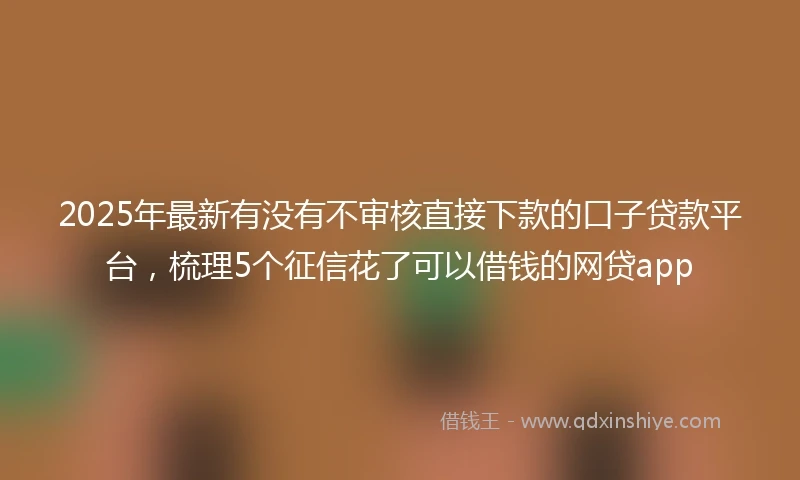 2025年最新有没有不审核直接下款的口子贷款平台，梳理5个征信花了可以借钱的网贷app