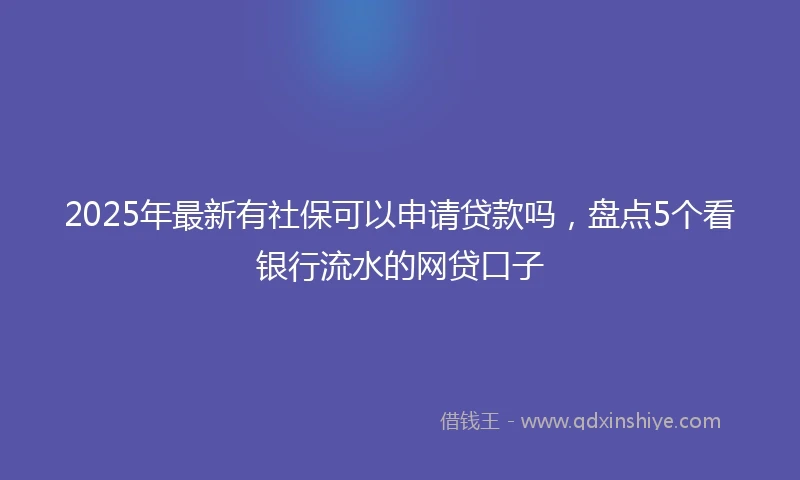 2025年最新有社保可以申请贷款吗，盘点5个看银行流水的网贷口子