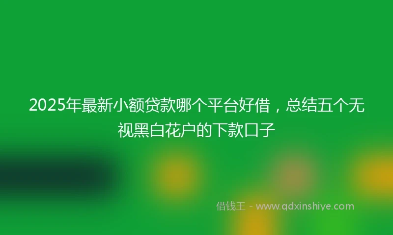 2025年最新小额贷款哪个平台好借，总结五个无视黑白花户的下款口子