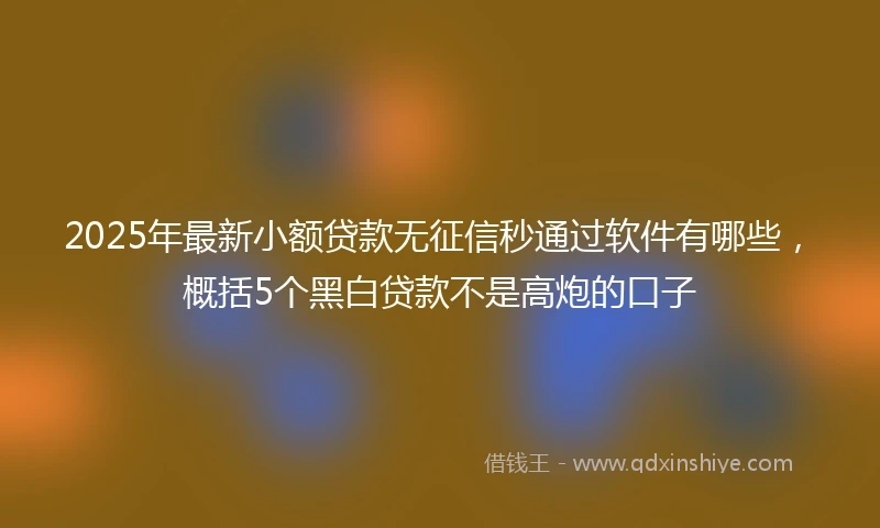 2025年最新小额贷款无征信秒通过软件有哪些，概括5个黑白贷款不是高炮的口子
