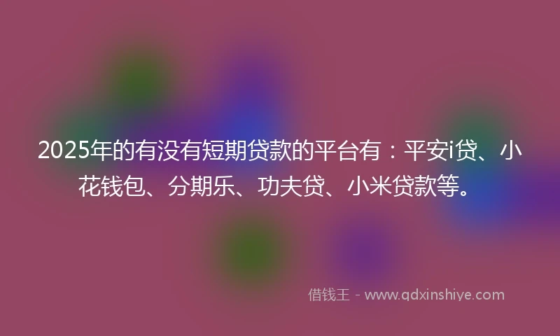 2025年的有没有短期贷款的平台有：平安i贷、小花钱包、分期乐、功夫贷、小米贷款等。