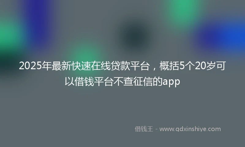 2025年最新快速在线贷款平台，概括5个20岁可以借钱平台不查征信的app