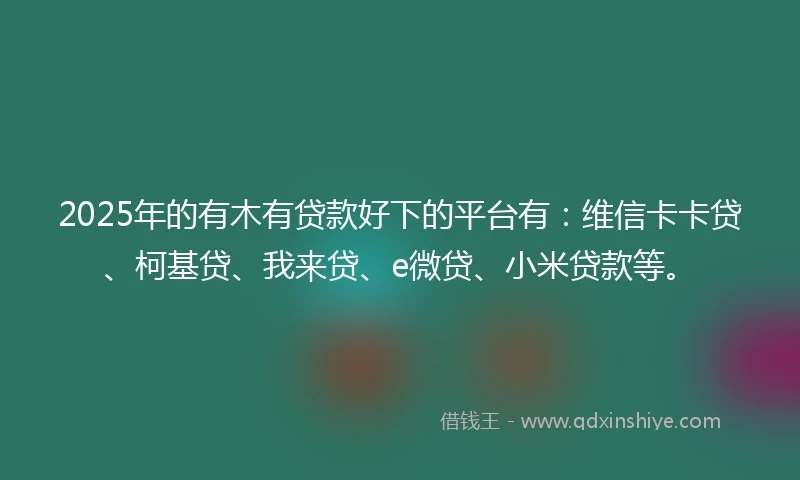 2025年的有木有贷款好下的平台有：维信卡卡贷、柯基贷、我来贷、e微贷、小米贷款等。
