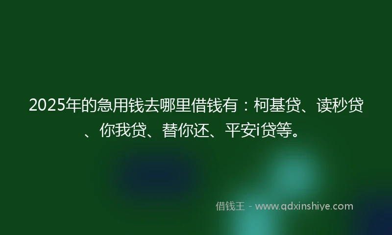 2025年的急用钱去哪里借钱有：柯基贷、读秒贷、你我贷、替你还、平安i贷等。