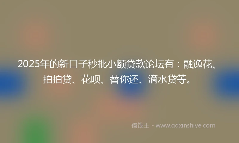 2025年的新口子秒批小额贷款论坛有：融逸花、拍拍贷、花呗、替你还、滴水贷等。
