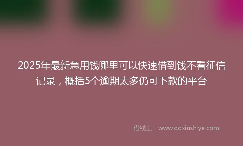 2025年最新急用钱哪里可以快速借到钱不看征信记录，概括5个逾期太多仍可下款的平台