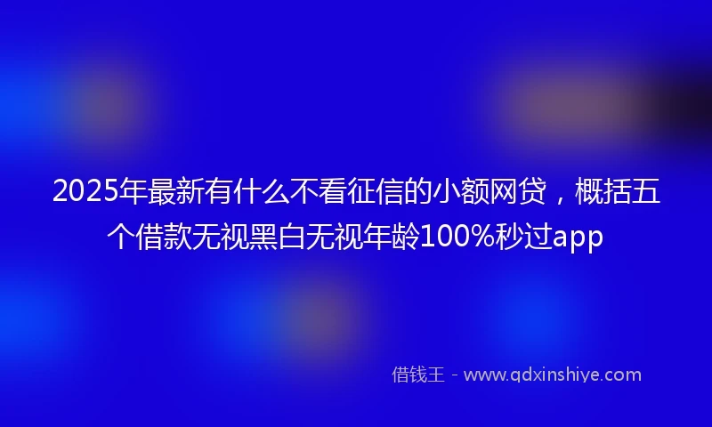 2025年最新有什么不看征信的小额网贷，概括五个借款无视黑白无视年龄100%秒过app
