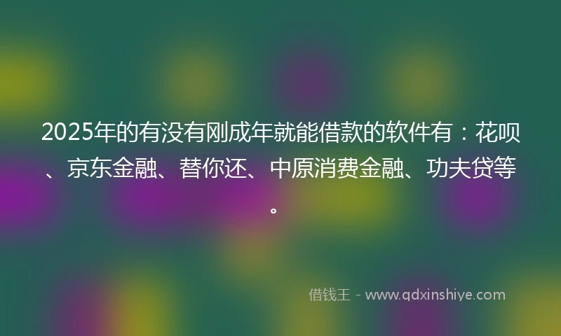 2025年的有没有刚成年就能借款的软件有：花呗、京东金融、替你还、中原消费金融、功夫贷等。