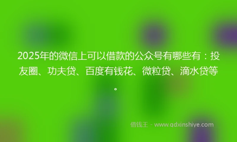 2025年的微信上可以借款的公众号有哪些有：投友圈、功夫贷、百度有钱花、微粒贷、滴水贷等。