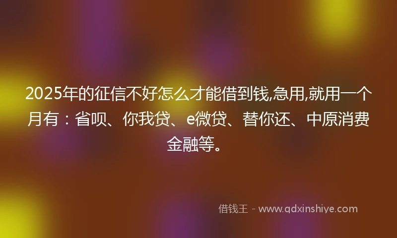 2025年的征信不好怎么才能借到钱,急用,就用一个月有：省呗、你我贷、e微贷、替你还、中原消费金融等。