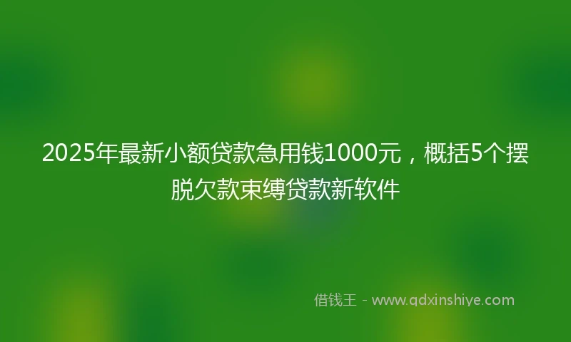 2025年最新小额贷款急用钱1000元，概括5个摆脱欠款束缚贷款新软件