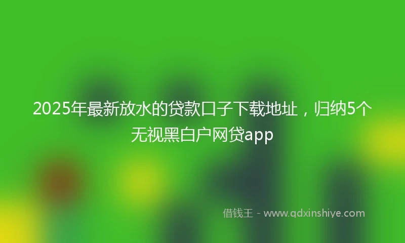 2025年最新放水的贷款口子下载地址，归纳5个无视黑白户网贷app