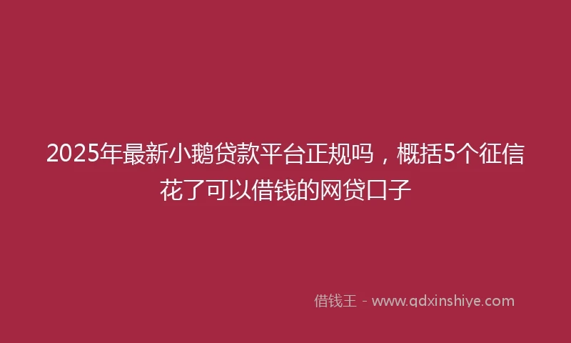 2025年最新小鹅贷款平台正规吗,概括5个征信花了可以借钱的网贷口子