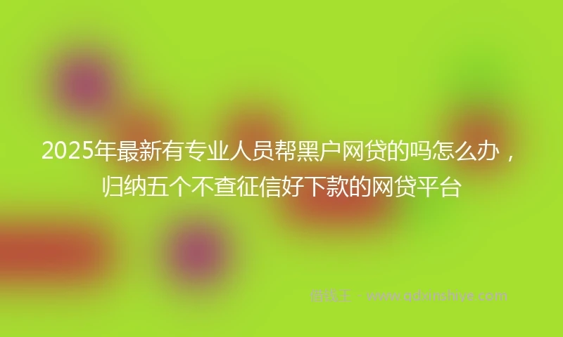 2025年最新有专业人员帮黑户网贷的吗怎么办，归纳五个不查征信好下款的网贷平台