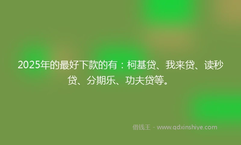 2025年的最好下款的有：柯基贷、我来贷、读秒贷、分期乐、功夫贷等。