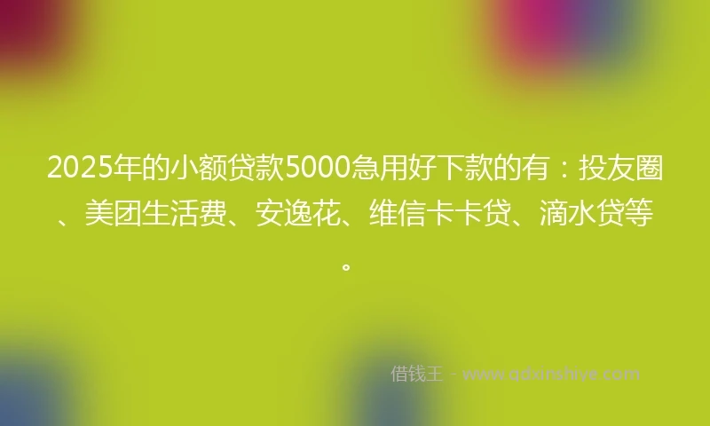 2025年的小额贷款5000急用好下款的有：投友圈、美团生活费、安逸花、维信卡卡贷、滴水贷等。