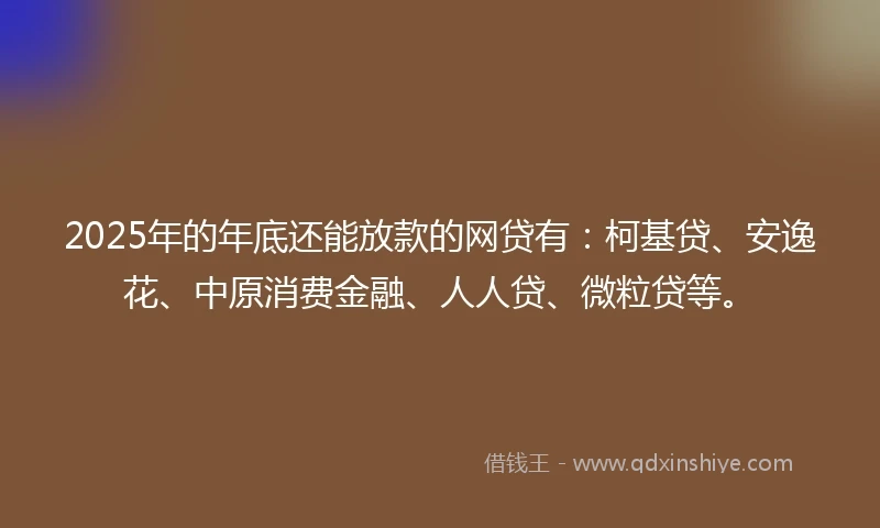 2025年的年底还能放款的网贷有：柯基贷、安逸花、中原消费金融、人人贷、微粒贷等。