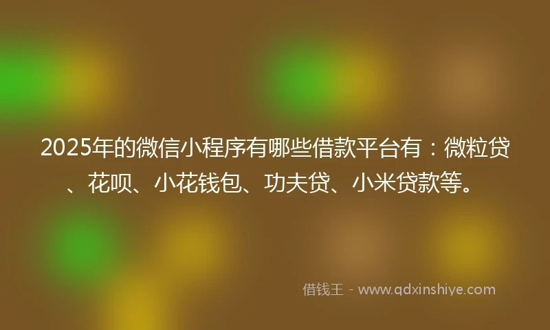 2025年的微信小程序有哪些借款平台有：微粒贷、花呗、小花钱包、功夫贷、小米贷款等。