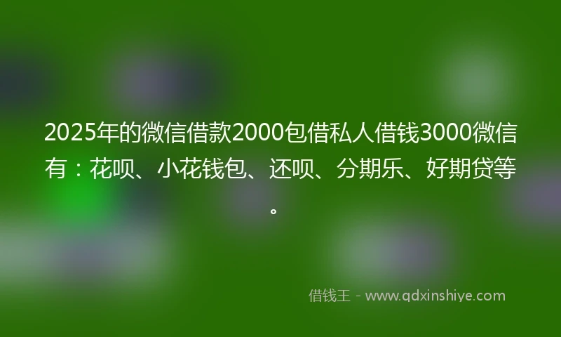 2025年的微信借款2000包借私人借钱3000微信有：花呗、小花钱包、还呗、分期乐、好期贷等。