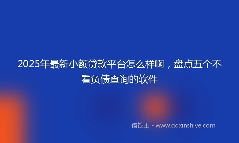 2025年最新小额贷款平台怎么样啊，盘点五个不看负债查询的软件