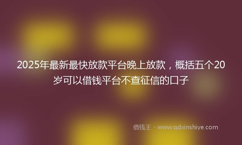 2025年最新最快放款平台晚上放款，概括五个20岁可以借钱平台不查征信的口子