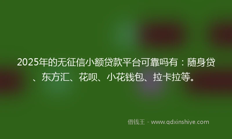 2025年的无征信小额贷款平台可靠吗有:随身贷、东方汇、花呗、小花钱包、拉卡拉等。