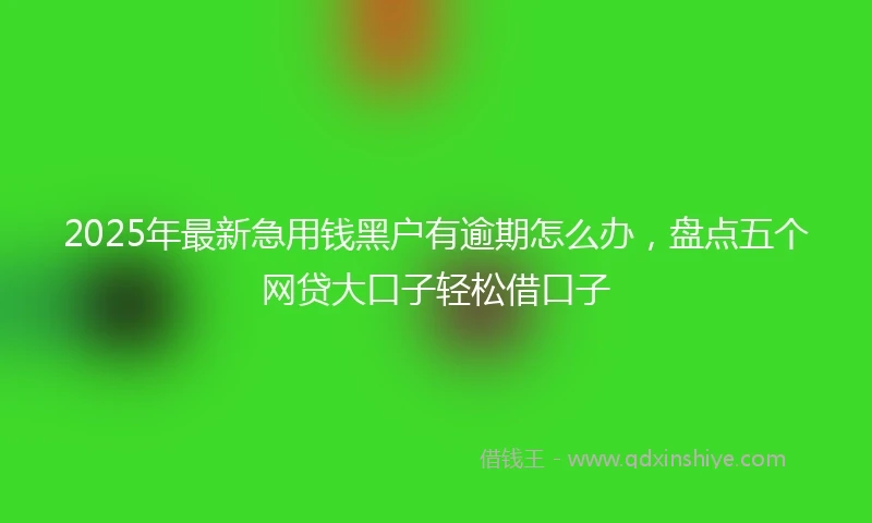 2025年最新急用钱黑户有逾期怎么办，盘点五个网贷大口子轻松借口子
