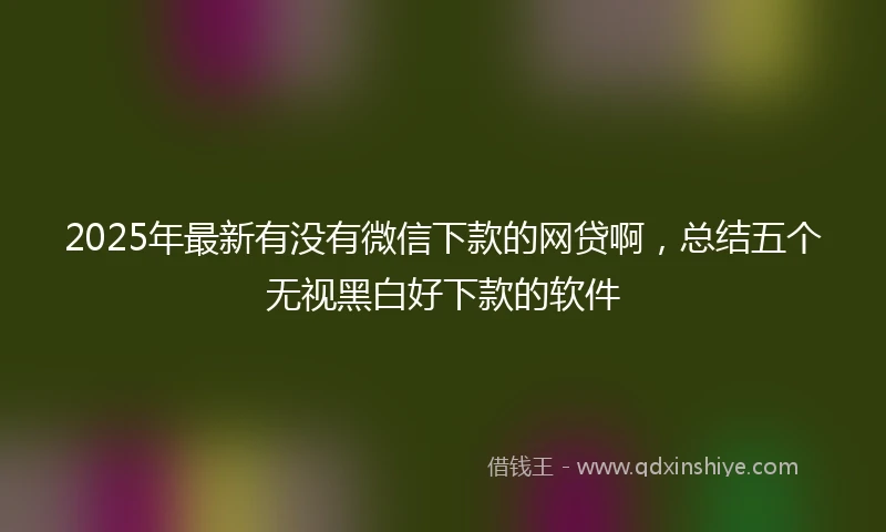 2025年最新有没有微信下款的网贷啊，总结五个无视黑白好下款的软件