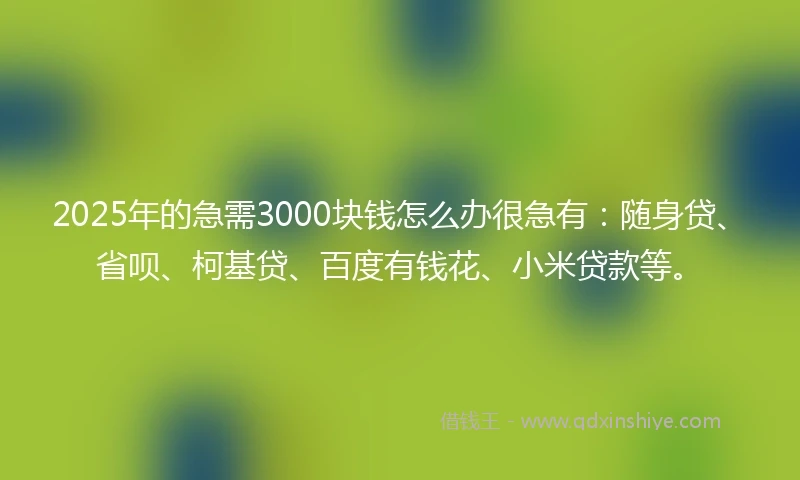2025年的急需3000块钱怎么办很急有：随身贷、省呗、柯基贷、百度有钱花、小米贷款等。