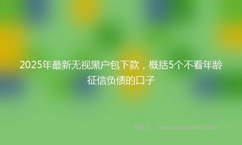 2025年最新无视黑户包下款，概括5个不看年龄征信负债的口子