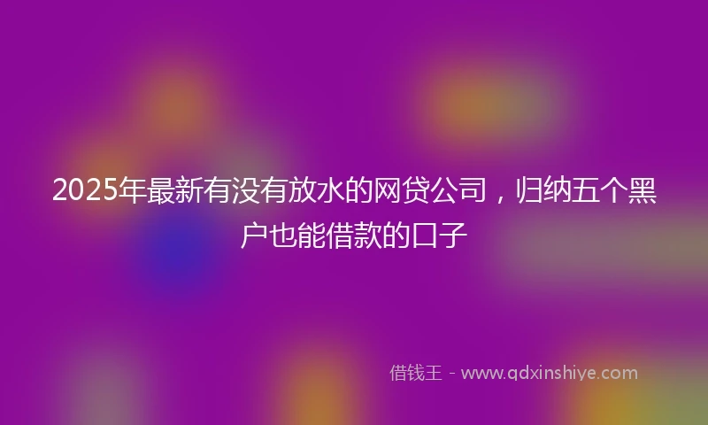 2025年最新有没有放水的网贷公司，归纳五个黑户也能借款的口子