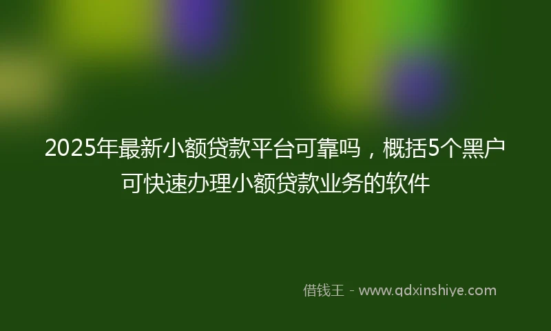 2025年最新小额贷款平台可靠吗，概括5个黑户可快速办理小额贷款业务的软件