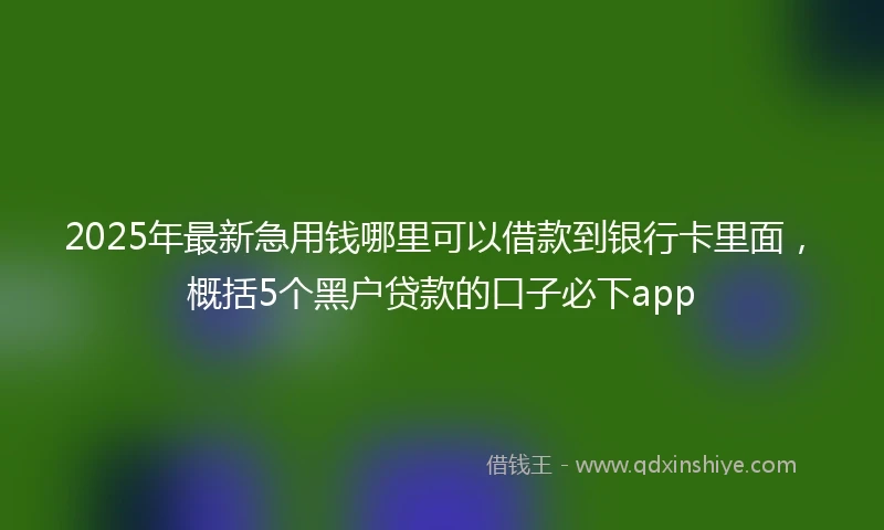 2025年最新急用钱哪里可以借款到银行卡里面，概括5个黑户贷款的口子必下app