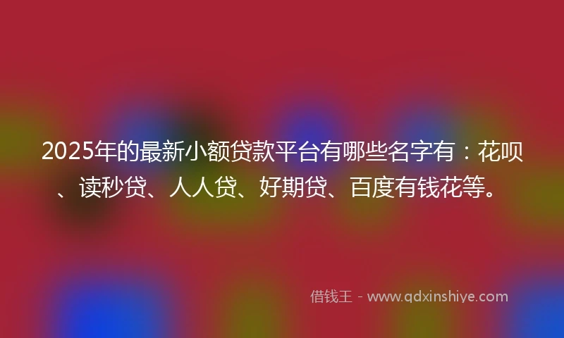 2025年的最新小额贷款平台有哪些名字有:花呗、读秒贷、人人贷、好期贷、百度有钱花等。