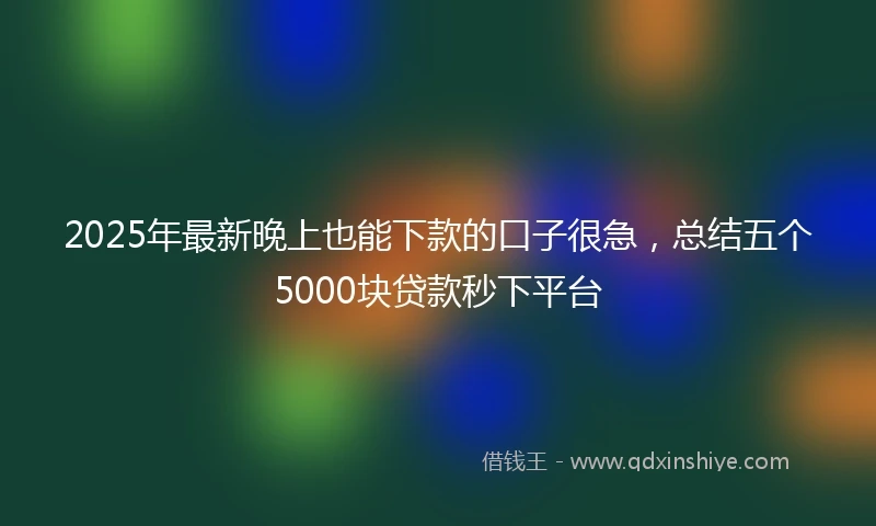 2025年最新晚上也能下款的口子很急，总结五个5000块贷款秒下平台
