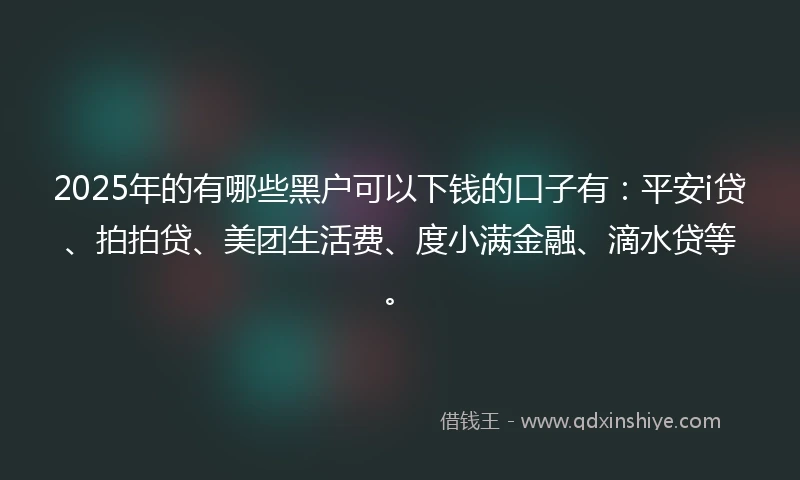 2025年的有哪些黑户可以下钱的口子有：平安i贷、拍拍贷、美团生活费、度小满金融、滴水贷等。