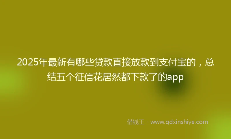 2025年最新有哪些贷款直接放款到支付宝的，总结五个征信花居然都下款了的app