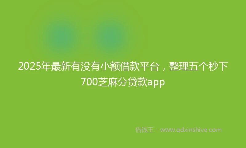 2025年最新有没有小额借款平台，整理五个秒下700芝麻分贷款app